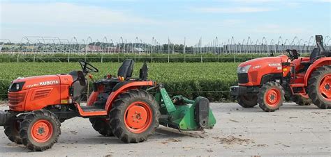 Traktor Kubota B2650 w akcji na plantacji borówki amerykańskiej
