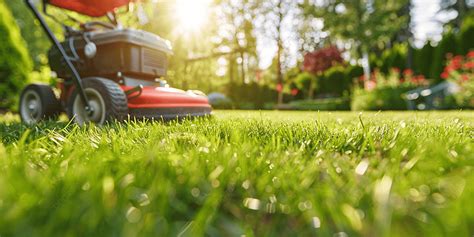 Thematic photo of a well-maintained garden with a lawn mower in the background