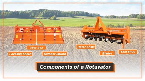 Photo of a separating rotavator at work