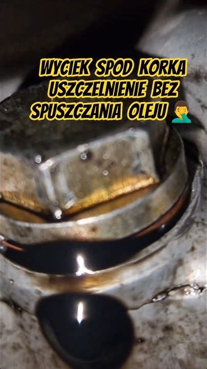 zdjęcie lokalizacji korka spustowego oleju hydraulicznego