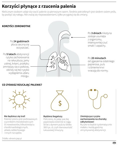 Infografika przedstawiająca najważniejsze korzyści płynące z wynajmu narzędzi ogrodniczych