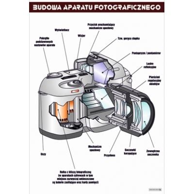Schemat budowy aparatu dozującego siewnika