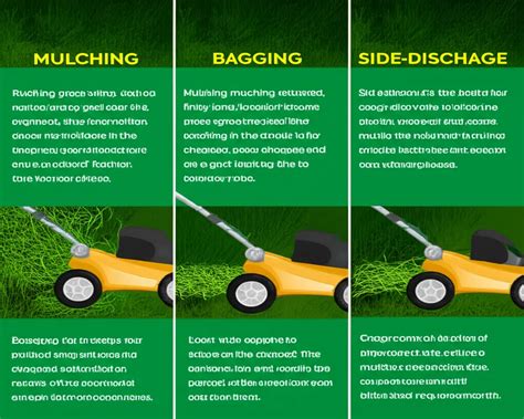 Infographic showing different cutting methods: collecting, mulching, rear discharge