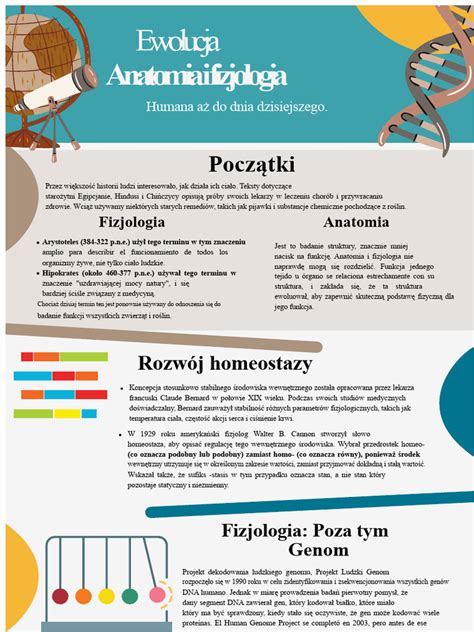 Infografika ewolucji i modeli ładowaczy Troll