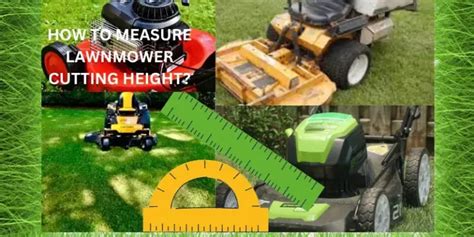 Infographics showing the different cutting heights of a lawnmower.