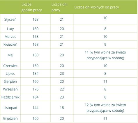 Zestawienie nowoczesnych siewników zbożowych pracujących na polach w regionie zachodniopomorskim