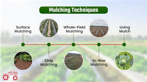 Diagram illustrating mulching function in a lawnmower