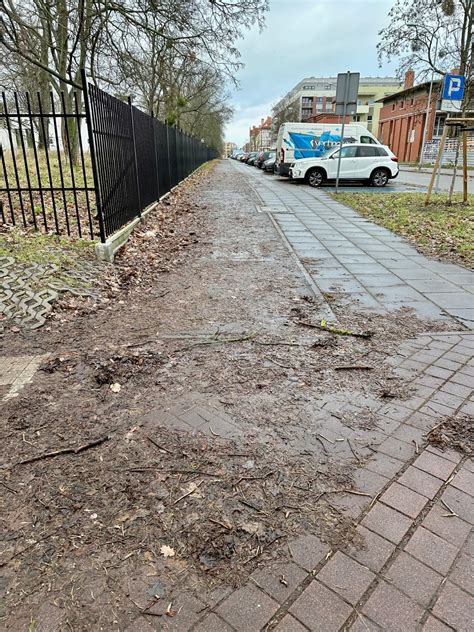 Zdjęcie zaśmieconej, zaniedbanej działki przed pracami porządkowymi