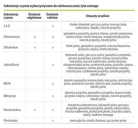 schemat porównawczy: skuteczność bronowania vs chemiczne odchwaszczanie