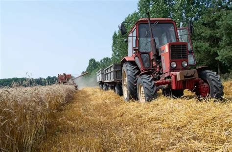 zdjęcie używanego ciągnika sadowniczego podczas inspekcji