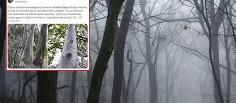 Scena z horroru 