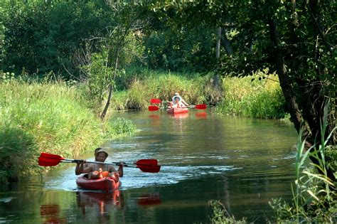 kajakarze na spokojnej rzece, z kamizelkami ratunkowymi