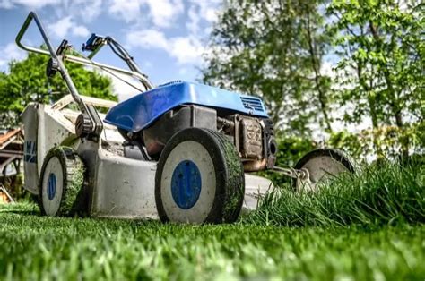 Tematyczne zdjęcie różnych typów kosiarek ogrodowych