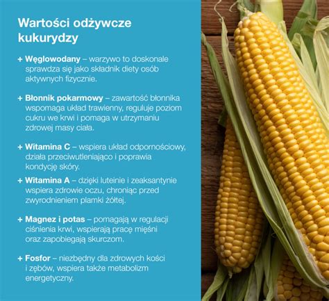 infografika przedstawiająca siew punktowy kukurydzy z optymalnymi odstępami między nasionami