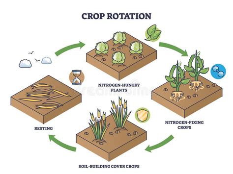 Graphic showing crop rotation