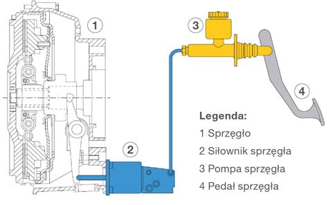 Schemat budowy pompy zębatej wspomagania w układzie hydraulicznym