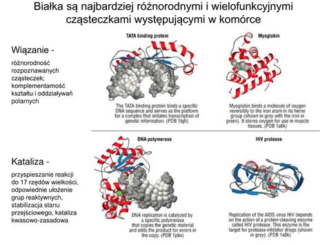 Schemat przedstawiający różnice w mechanizmie wywrotu tylnego i bocznego w naczepach