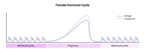 Diagram przedstawiający cykl hormonalny kobiety i jego zaburzenia