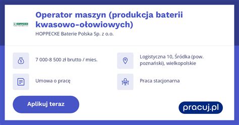 Infografika porównująca właściwości i koszty eksploatacji baterii kwasowo-ołowiowych i litowo-jonowych