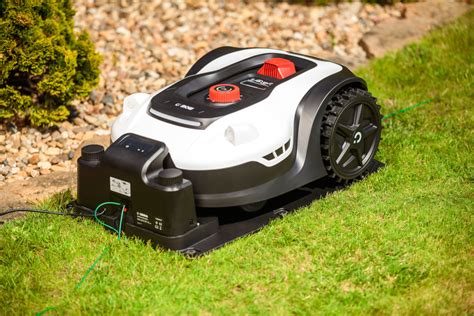 Robot koszący Ambrogio w akcji na trawniku