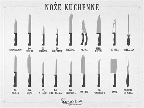 infografika porównująca kształty i zastosowania noży L i C