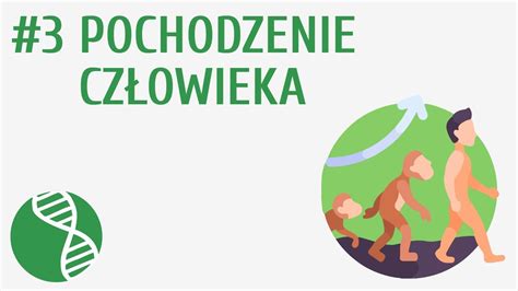 Ilustracja pokazująca różnice między nożem tnąco-zbierającym a nożem mielącym (mulczującym)