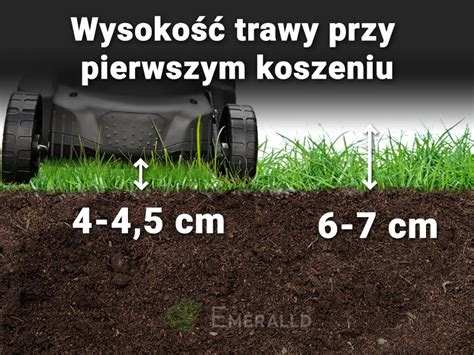 infografika przedstawiająca porównanie stanu trawnika po koszeniu na mokro i na sucho