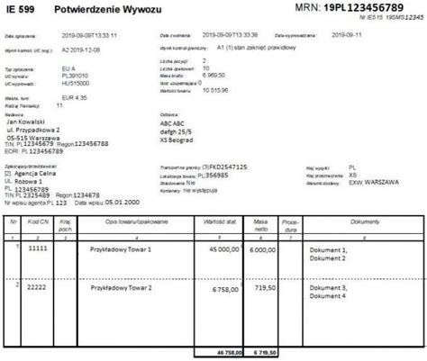 Infografika przedstawiająca ścieżkę obiegu dokumentu IE 599 w systemie ECS.