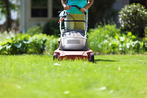 Thematic photo of a person mowing a lawn with a battery-powered lawnmower