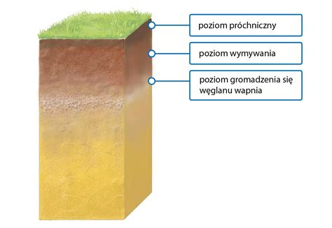 przekrój gleby pokazujący podeszwę płużną i efekt jej likwidacji przez głębosz