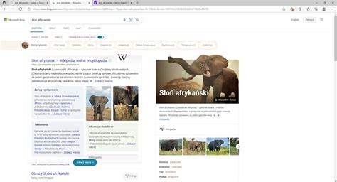 zrzut ekranu przedstawiający filtry wyszukiwania ciągników na OLX, z zaznaczonym filtrem 