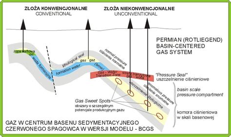 Model przedstawiający koronkę skrawającą