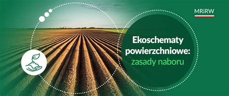 Infografika przedstawiająca praktyki rolnictwa węglowego i zarządzania składnikami odżywczymi