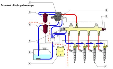 Schemat budowy układu wysokiego ciśnienia w silniku diesla stosowanym w maszynach leśnych
