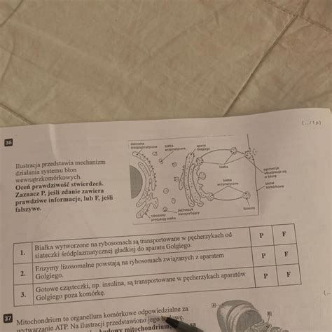 Ilustracja działania systemu Variomat z regulacją szerokości orki