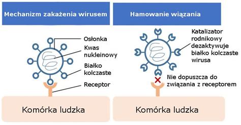 Infografika wyjaśniająca mechanizm działania systemu MotionControl