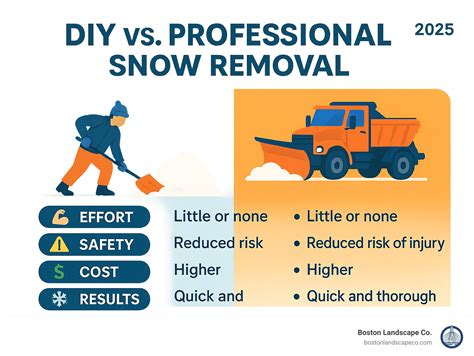 Infographic comparing different snow plow materials (steel vs. polyethylene) and mounting types