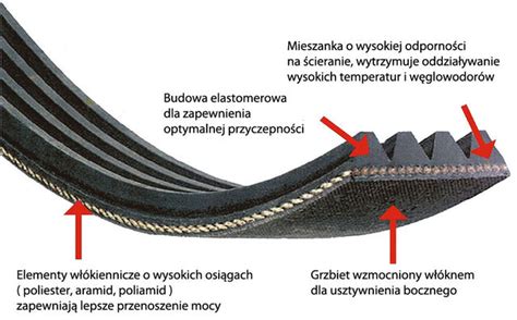 przekrój paska klinowego typu V, budowa wewnętrzna paska