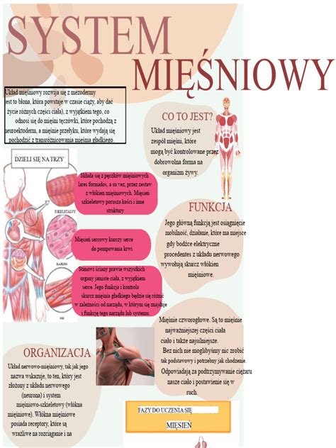 Infografika: układ napędowy 4x2 i 6x4 w ciągnikach siodłowych