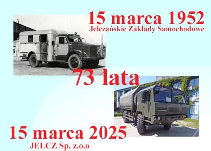 Infografika z podziałem rynku wtórnego pojazdów ciężarowych Jelcz na lata produkcji/przebieg