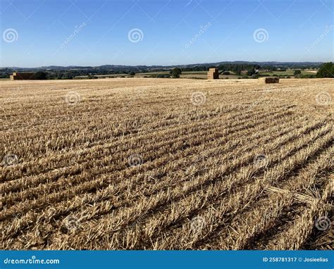 Thematic photo of a stubble cultivator in a field after harvest