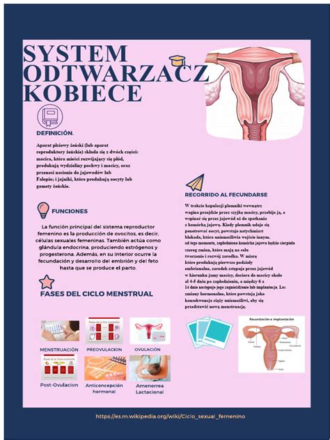 infografika: układ paliwowy kosiarki