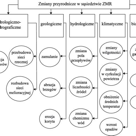 schematyczne przedstawienie zębów w kształcie litery Z i zęba palca