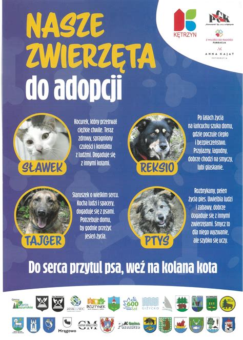 Infografika: Nagary na zaworze wylotowym spowodowane zbyt dużym luzem