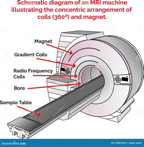 Schematic diagram illustrating the central beam design of the RMW 24.03 spreader