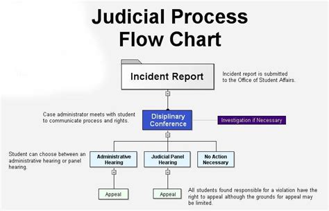 Infographics showing the flow of the judicial process in the case