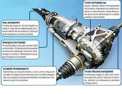 Schemat budowy mostu napędowego Carraro