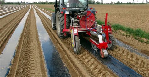Technologia siewu ogórka na folii siewnikiem MAX PNEUMATIC