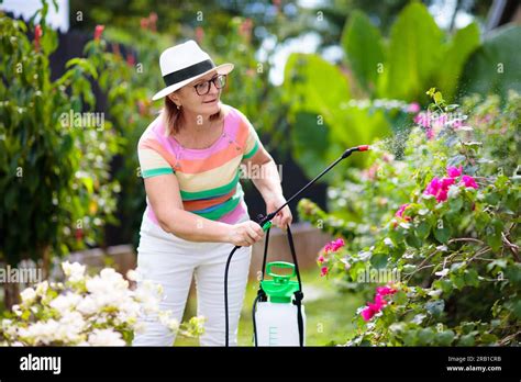 Thematic photo of a person using a pressure sprayer in a garden, with various plants in the background.