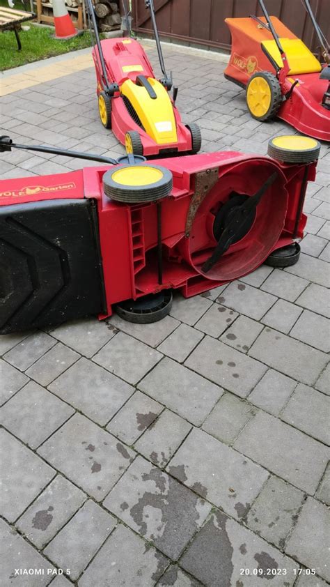 Infografika: rozkład ogłoszeń Wolf Garten na OLX według typu sprzętu